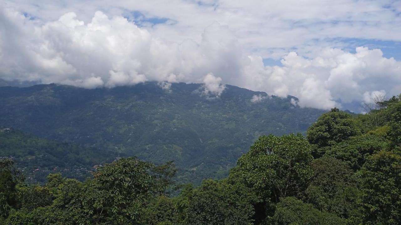 Singtom Tea Resort Darjeeling  Buitenkant foto